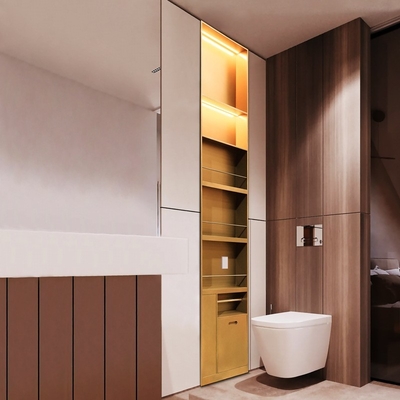 Niche de douche de salle de bain de design moderne avec finition de surface brossée et fonctionnalité de lumière LED