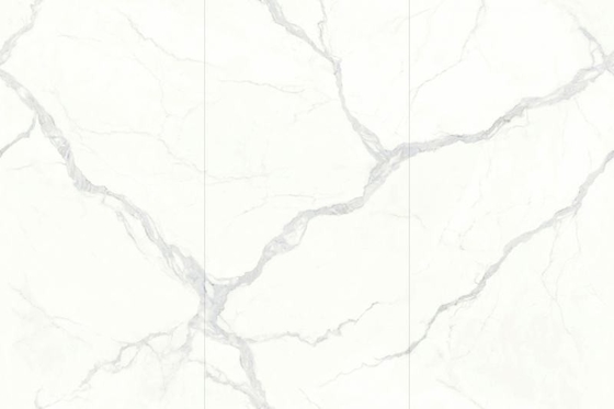 1200x2400 Carreaux de salle de bain et de salon polissés en poudre avec un design sur mesure