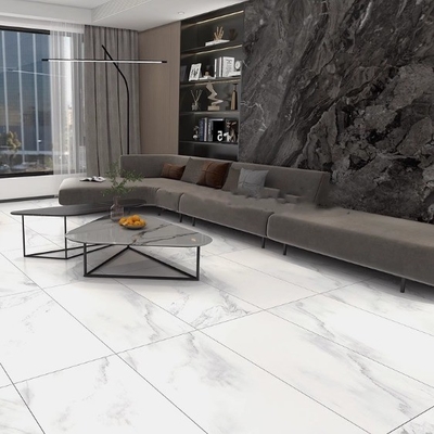 Porcelaine en marbre de Calacatta blanc pur 24 x 48 carreaux de plancher de qualité AAA Grises Famille de couleurs