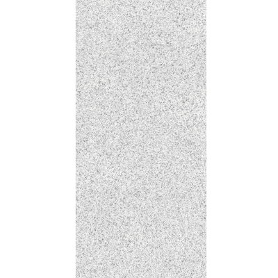 2 cm d'épaisseur Carreaux de sol en béton granit extérieur pour les patios de piscine de style design moderne